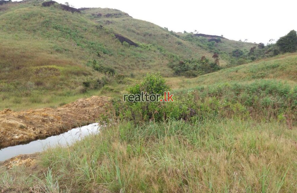 Land For Sale In Nawalapitiya