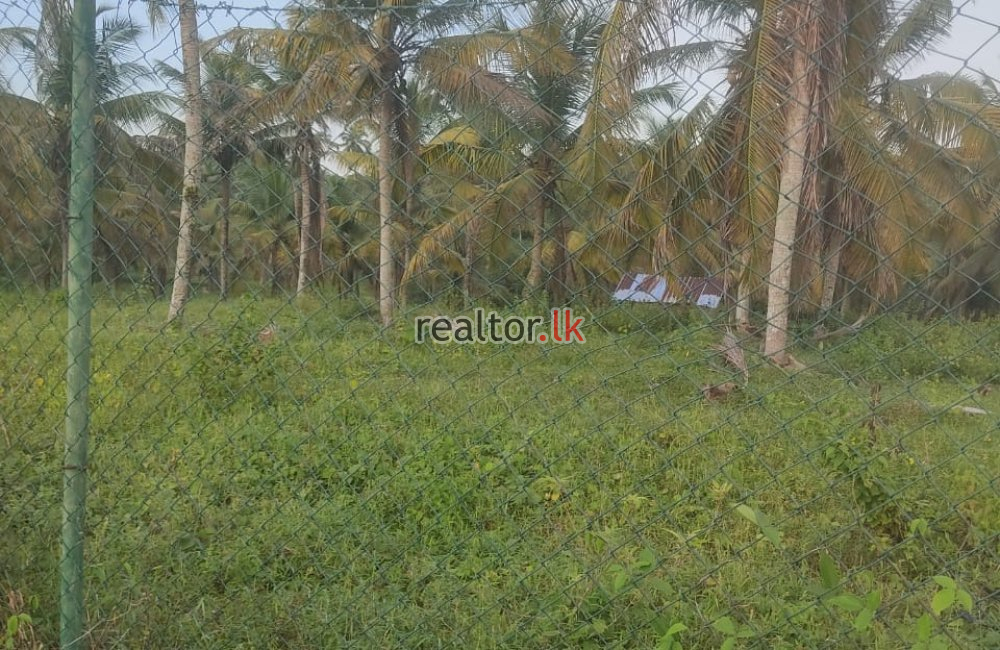 Land For Sale In Walgama Malwana