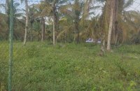 Land For Sale In Walgama Malwana