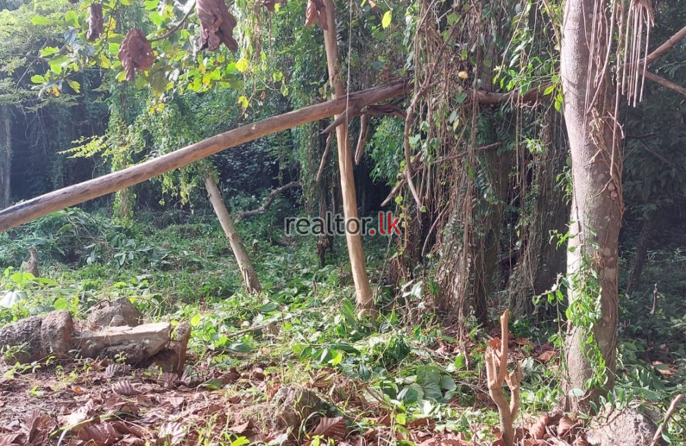 Lake Front Land At Off Beddagana Road