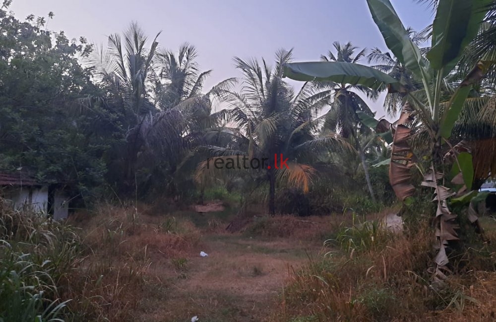 Land Facing Colombo - Kurunegala Rd