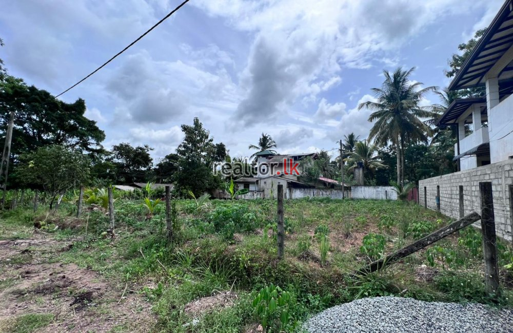 Bare Land for Sale In Welmilla