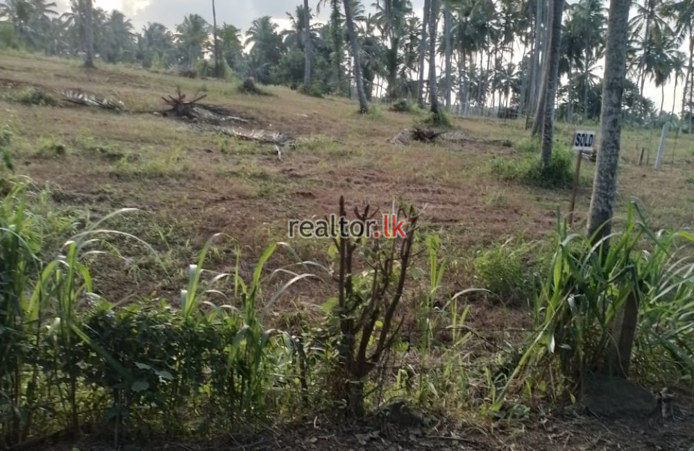 Industrial Land For Sale At Weliweriya Gampaha