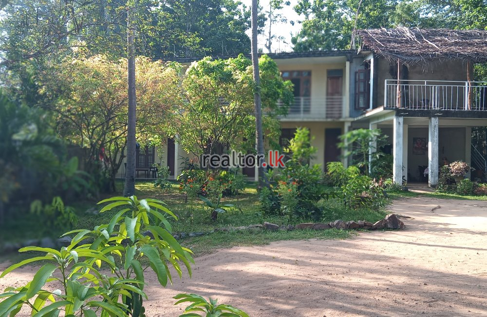 Guest House For Rent In Sigiriya