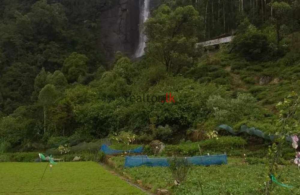 Nuwara Eliya Land For Sale