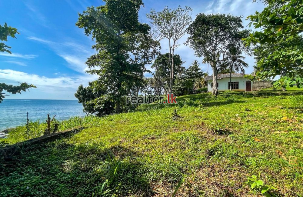 Rare Headland Property For Sale South Coastline