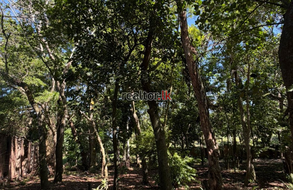 Lakefront Land For Sale With House In Moratuwa