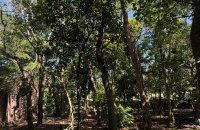 Lakefront Land For Sale With House In Moratuwa