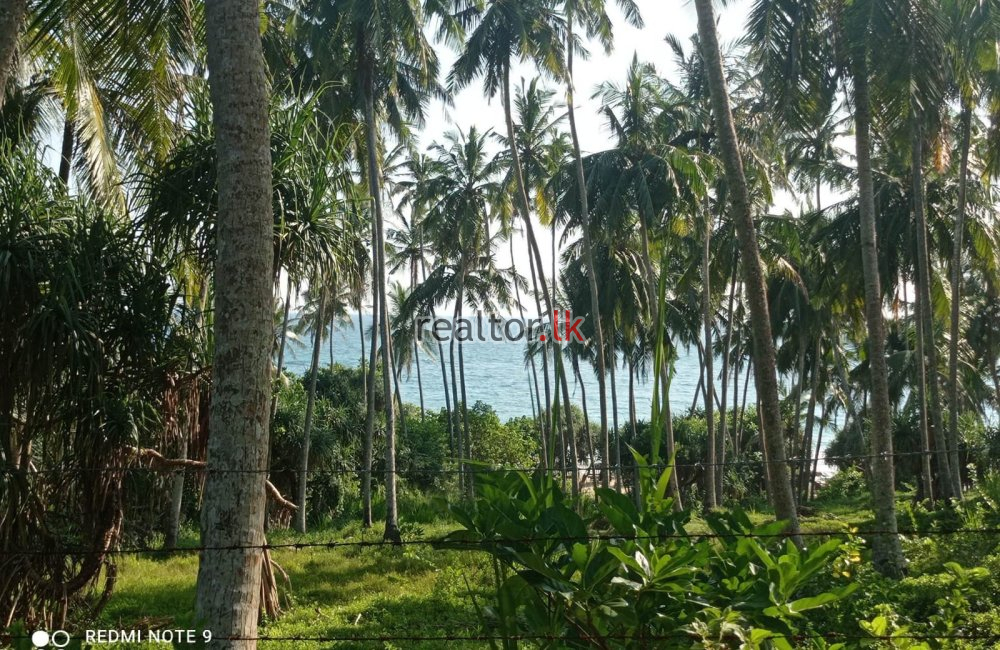 Hiriketiya Beach Land For Sale