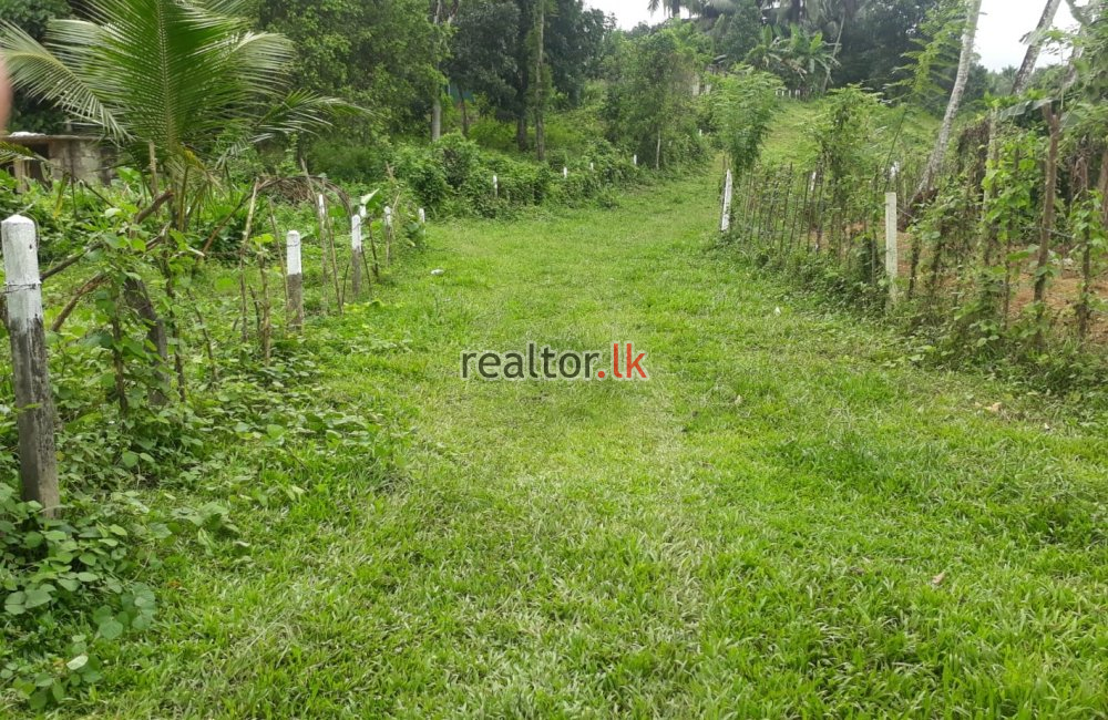 Land For Rent At Kotigala Handapangoda