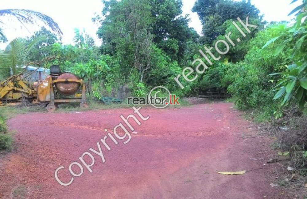 Ramanayake Mawatha Land For Sale