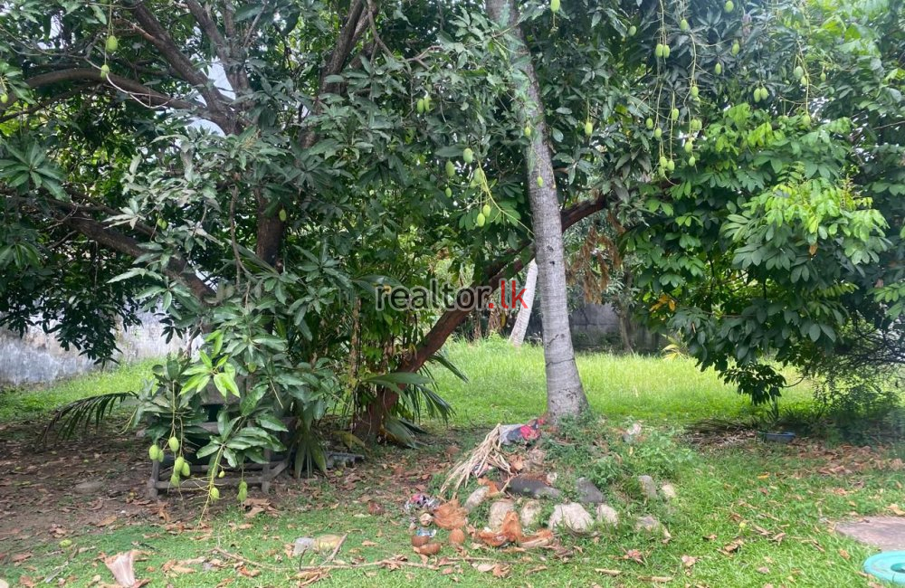 Villa For Sale In Pathalawatte Road Dehiwala