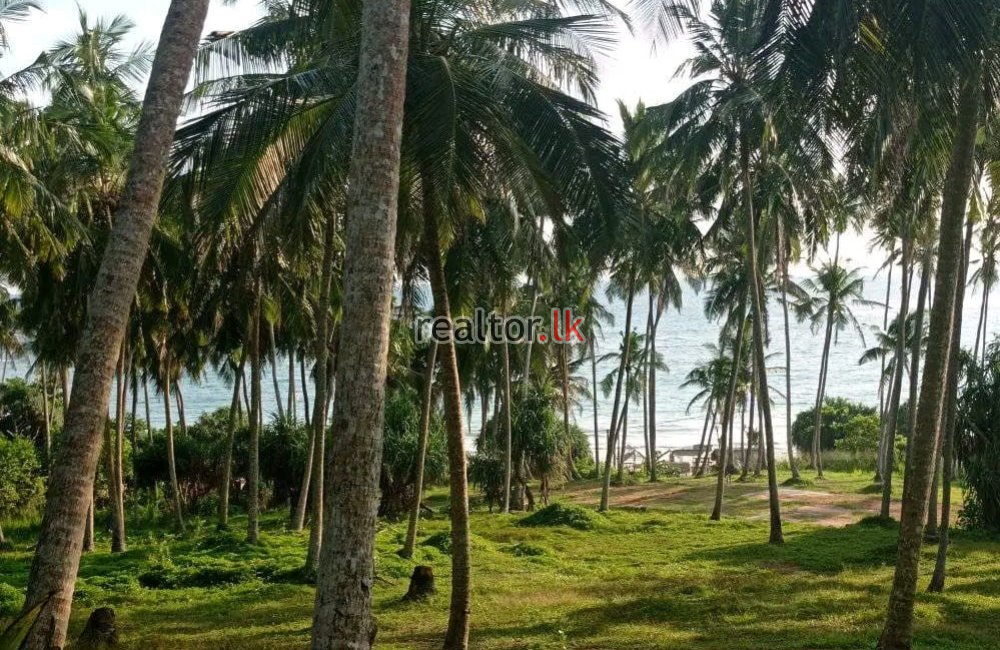 Beachfront Land For Sale In Hiriketiya Dikwella