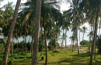 Beachfront Land For Sale In Hiriketiya Dikwella