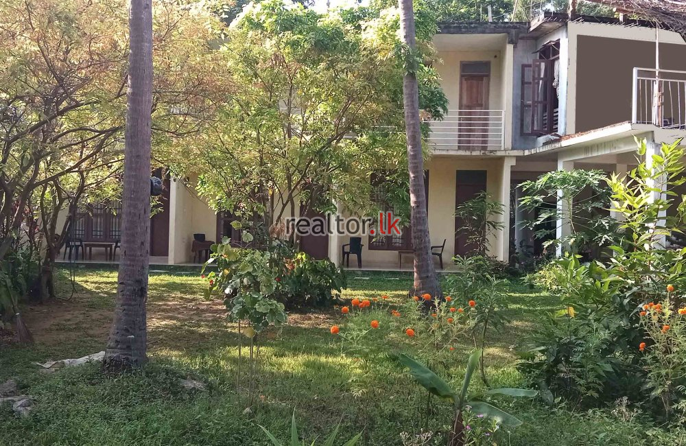 Guest House For Rent In Sigiriya