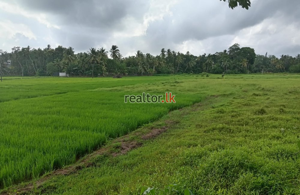 Land For Sale In Yatagala Unawatuna