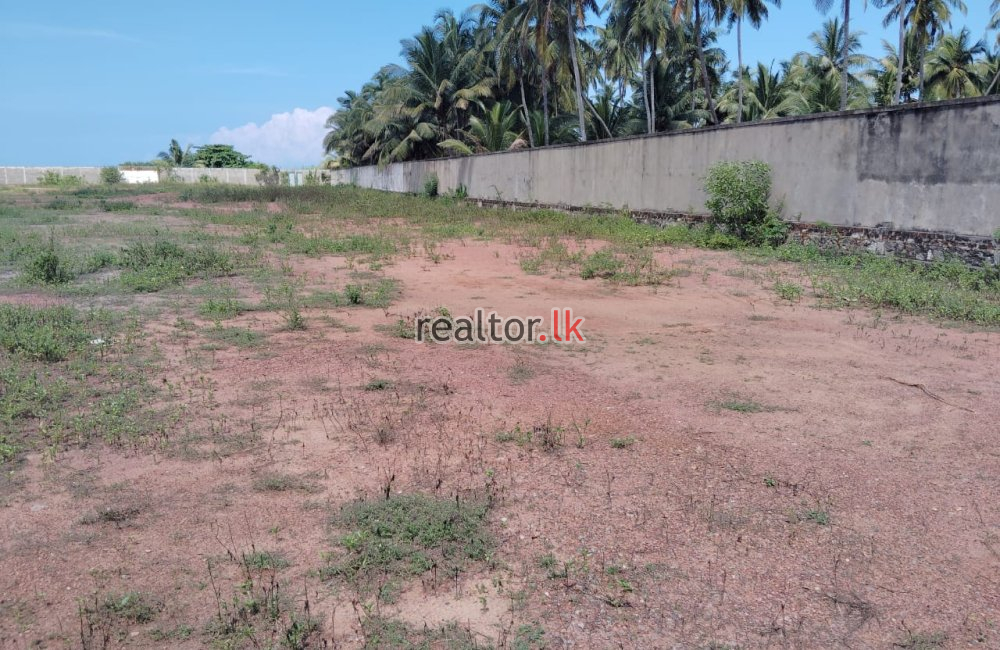 Coastal Land For Sale In Kammala Wennappuwa