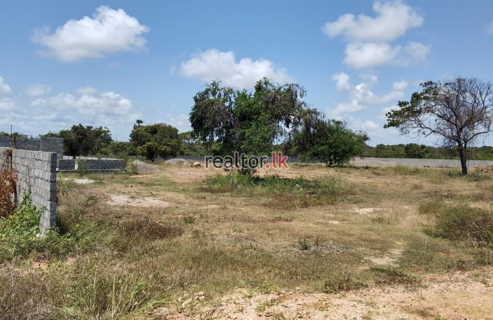 Land For Sale In Konesapuri Nilaweli