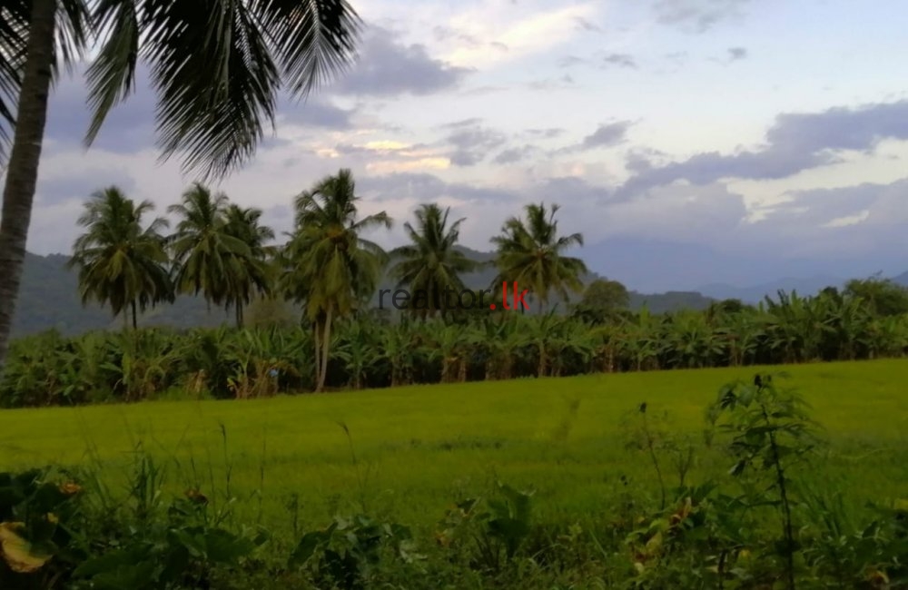 Mix Plant Estate For Sale In Monaragala