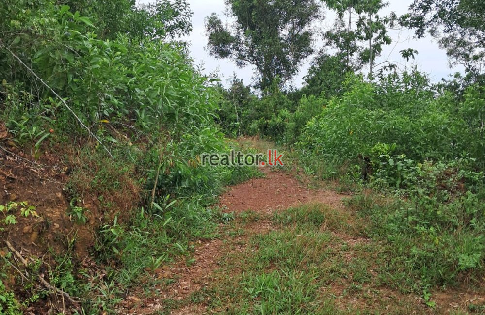 Land For Sale Facing Main Rd Mirissa