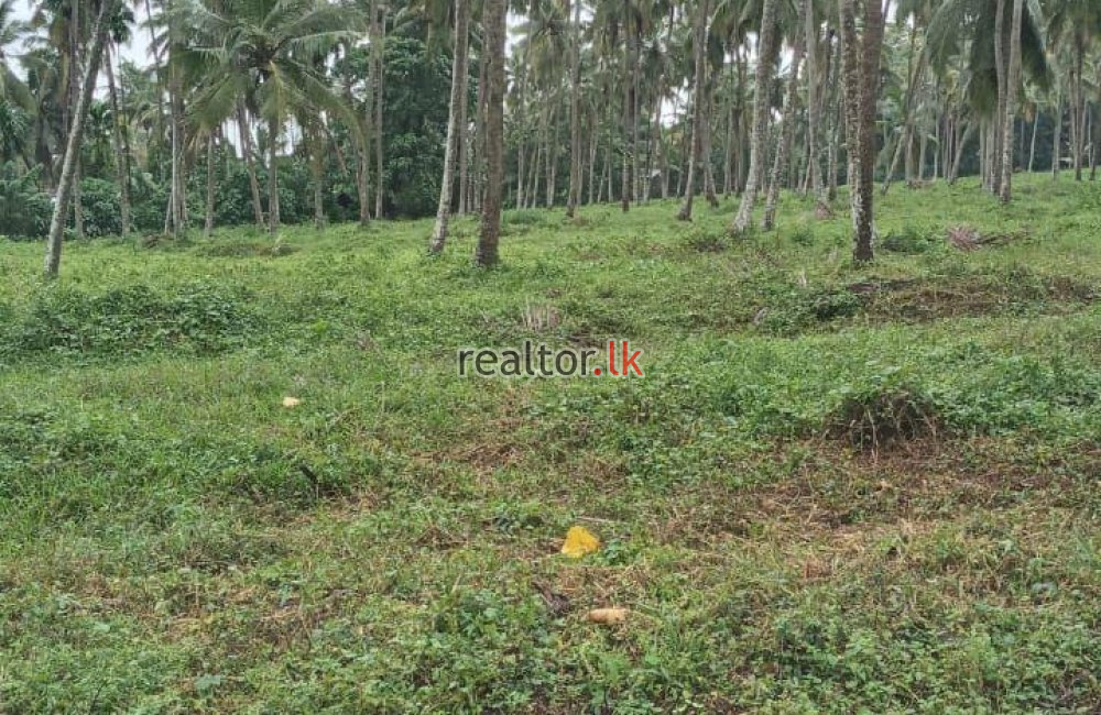 Spacious Land For Sale At Katana