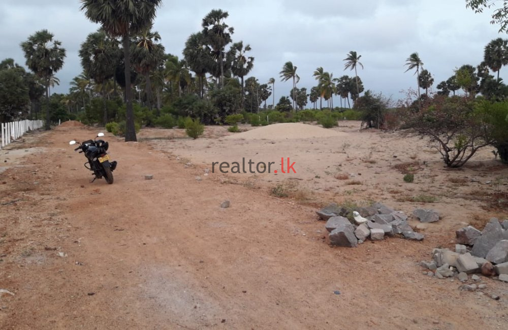 Lagoon Front Land At Kalpitiya