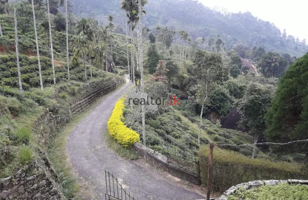 Teldeniya Tea Estate For Sale