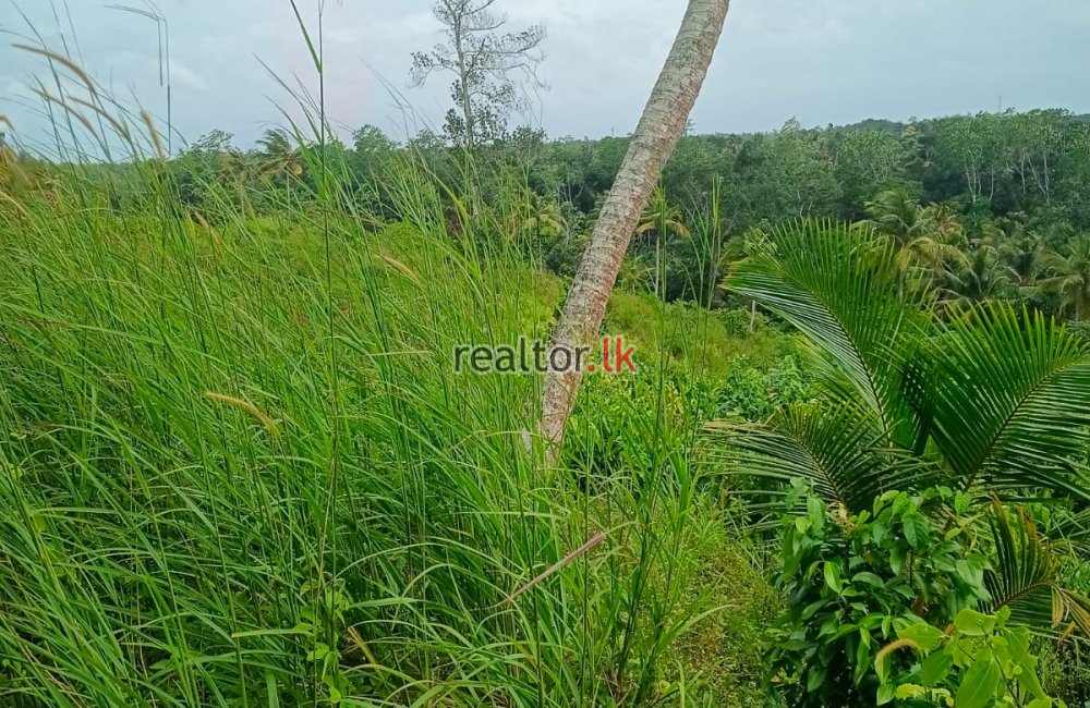 Land For Sale At Ahangama Galle