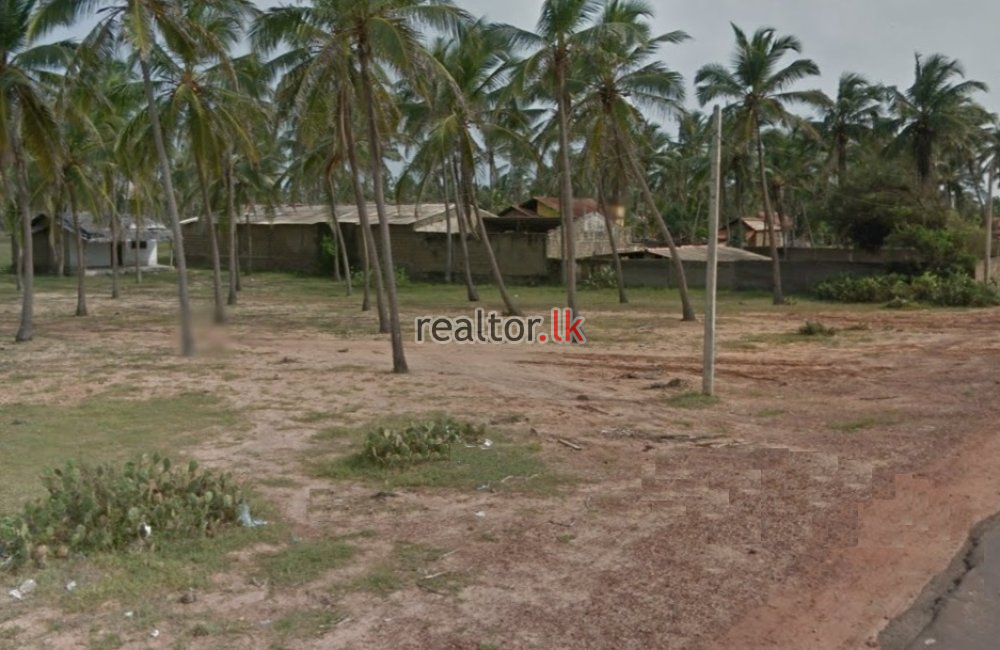 Beach Front Coconut Land For Sale At Chillaw