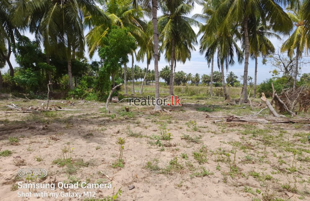 Land For Sale At Sangamankanda