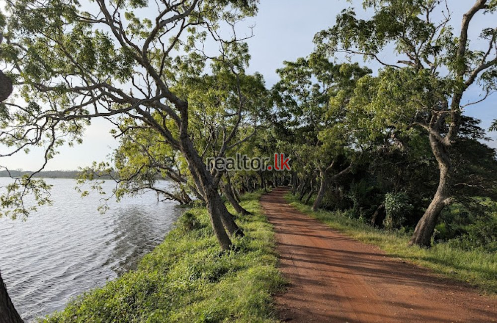 Exclusive Lagoon View Resort For Sale In Chilaw