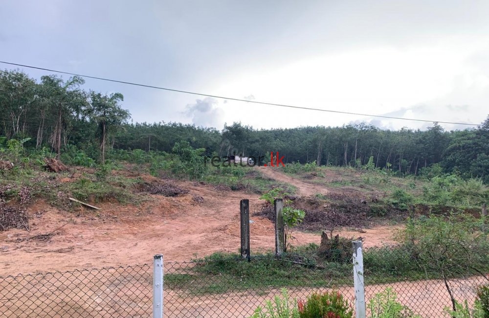 Japamala Mawatha Land For Sale