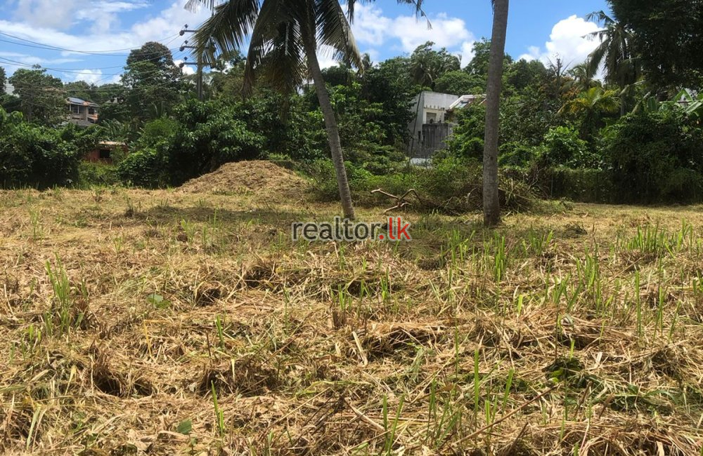 Bare Land for Sale in Battaramulla