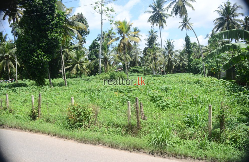 Land For Lease Gampaha Kalagedihena