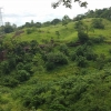 Land For sale At Kandy