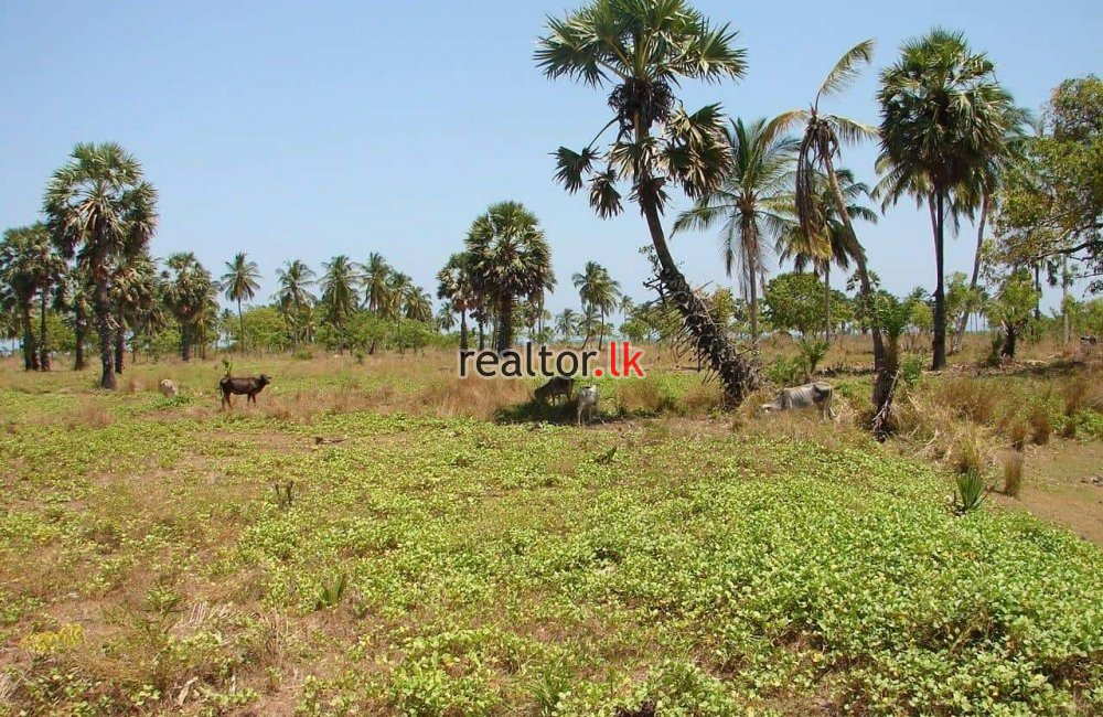 Land For Sale At Kalkudah Road Kalkudah