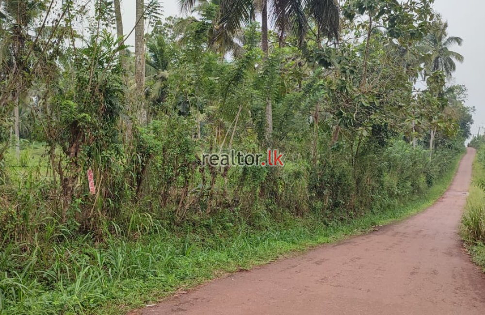 Land For Sale At Sandalankawa