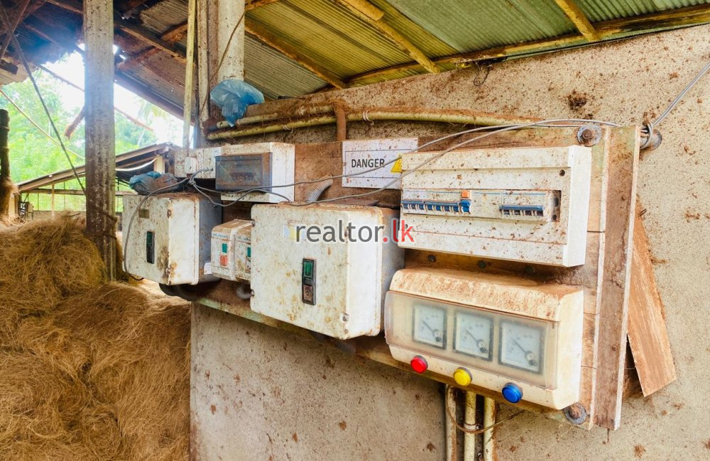 Coir Mill Factory & House For Sale In Beliatta