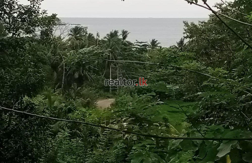 Land For Sale At Hiriketiya