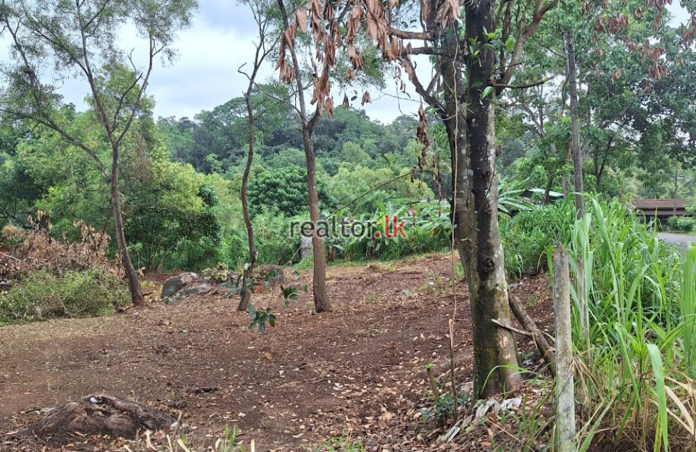 Land For Sale In Kahanthota Rd Malabe