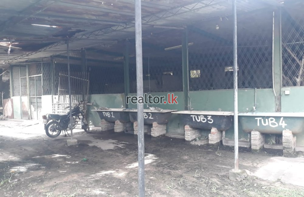 Factory For Rent At Mabola