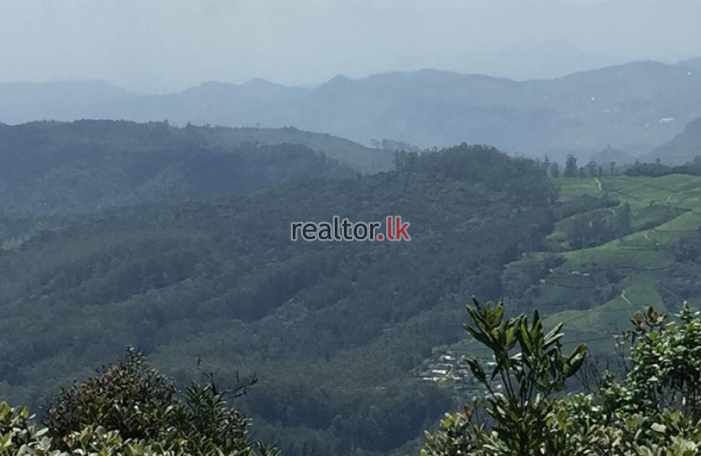 Land For Sale In  MTV Tower Road Nuwara Eliya