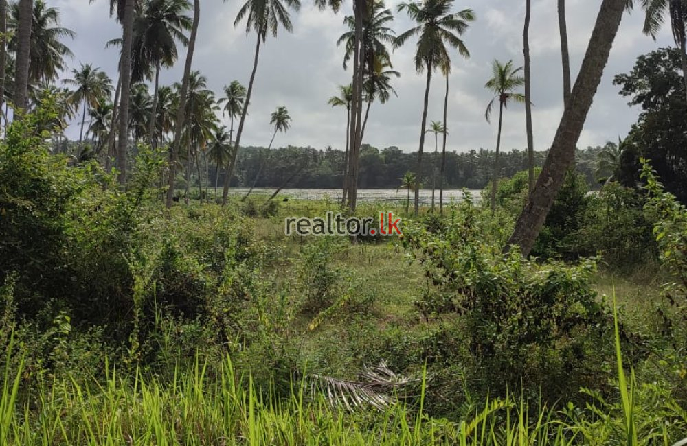 Land For Sale In Sandalankawa Pannala