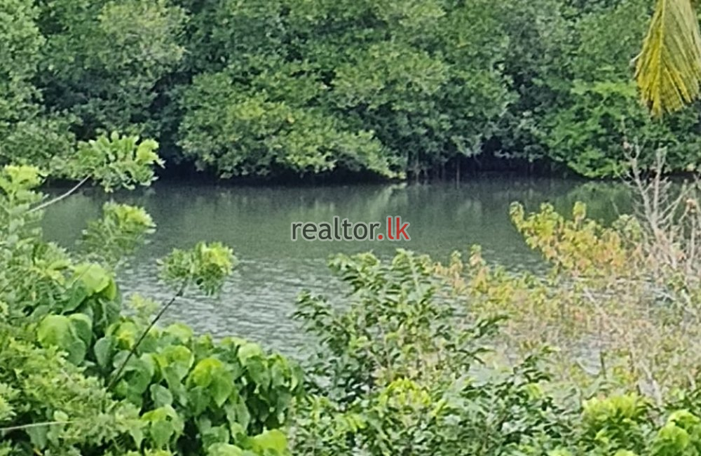 Land For Sale At Facing Koggala Lake