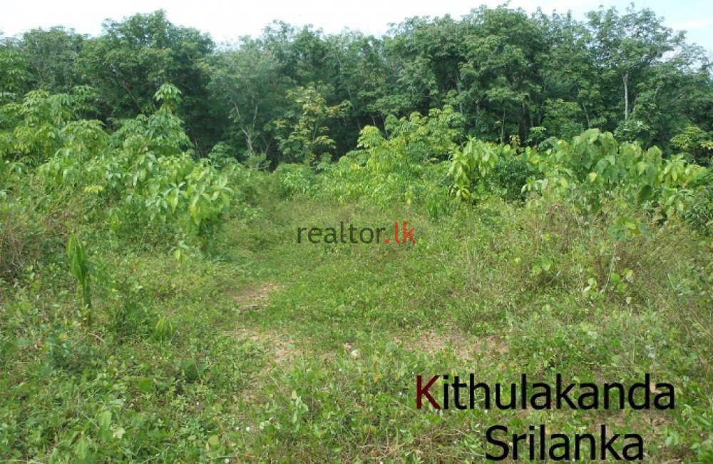 Land For Rent At Moragahena