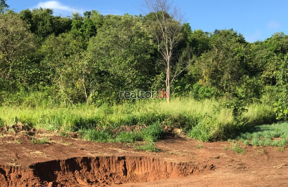 Agriculture Land For Sale At Embilipitiya