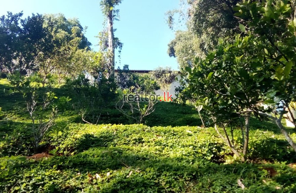 Scenic Villa For Sale In Lindula Nuwara Eliya