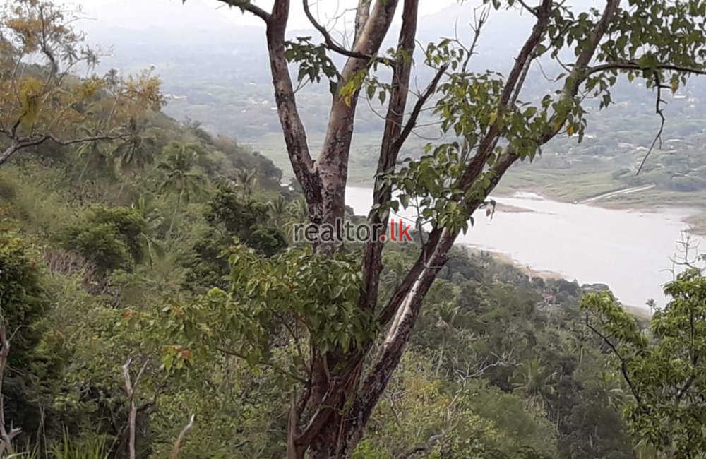 Land For Sale At Raja Mw Kandy