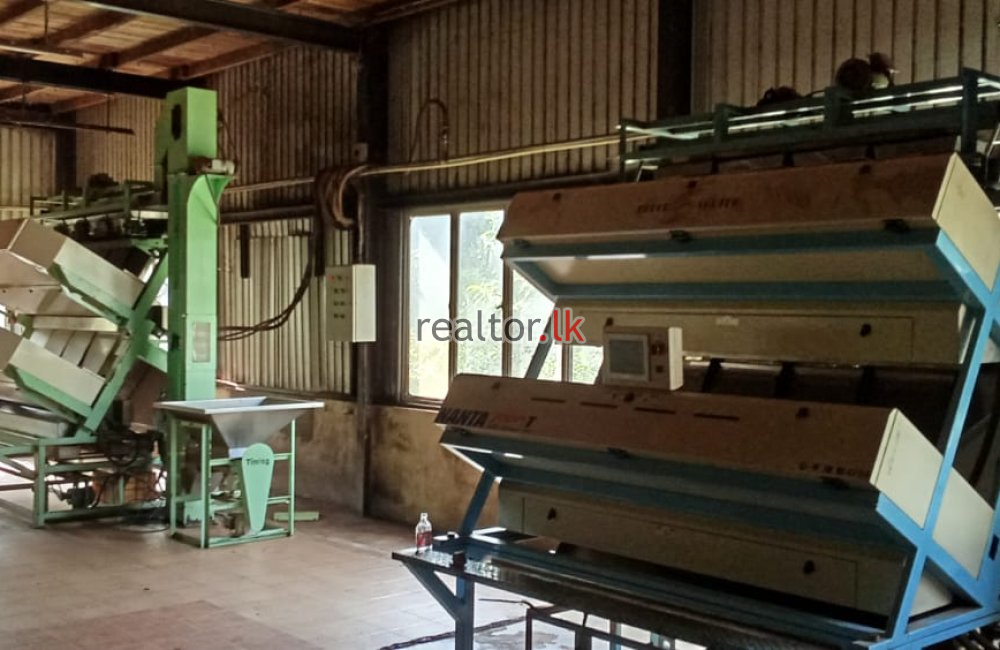 Fully Equipped Tea Factory For Rent In Galle