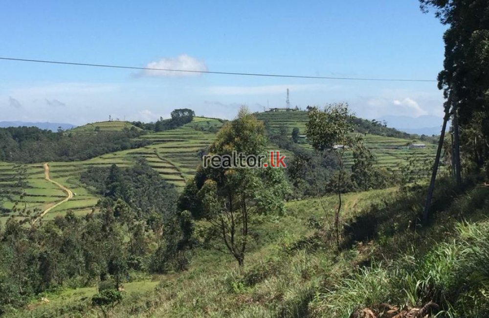 Land For Sale In  MTV Tower Road Nuwara Eliya